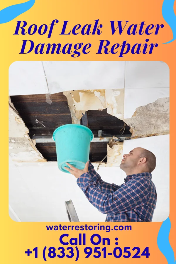 Roof Leak Water Damage Repair in Heimdal, ND
